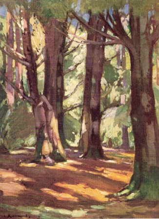 Postcard